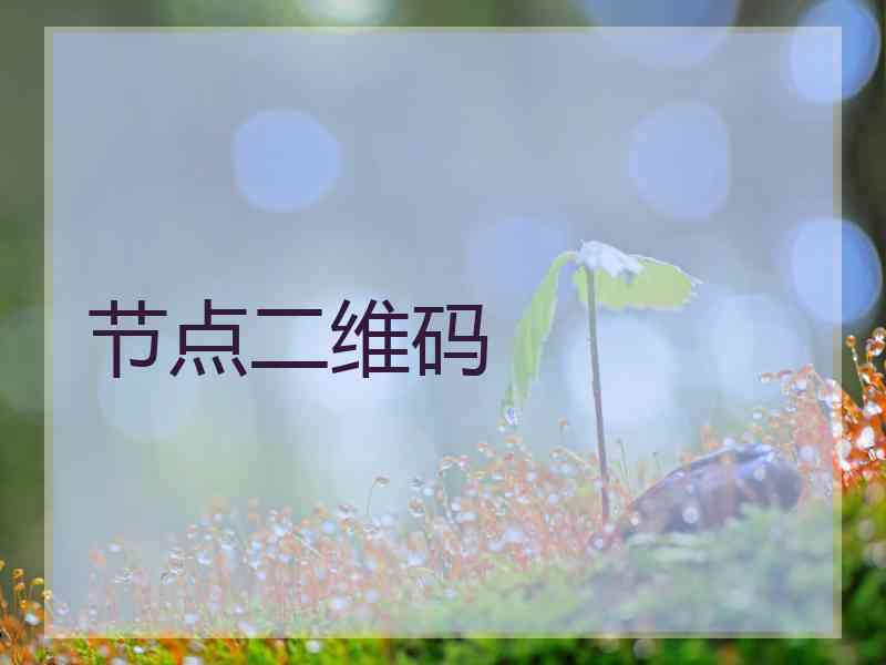节点二维码