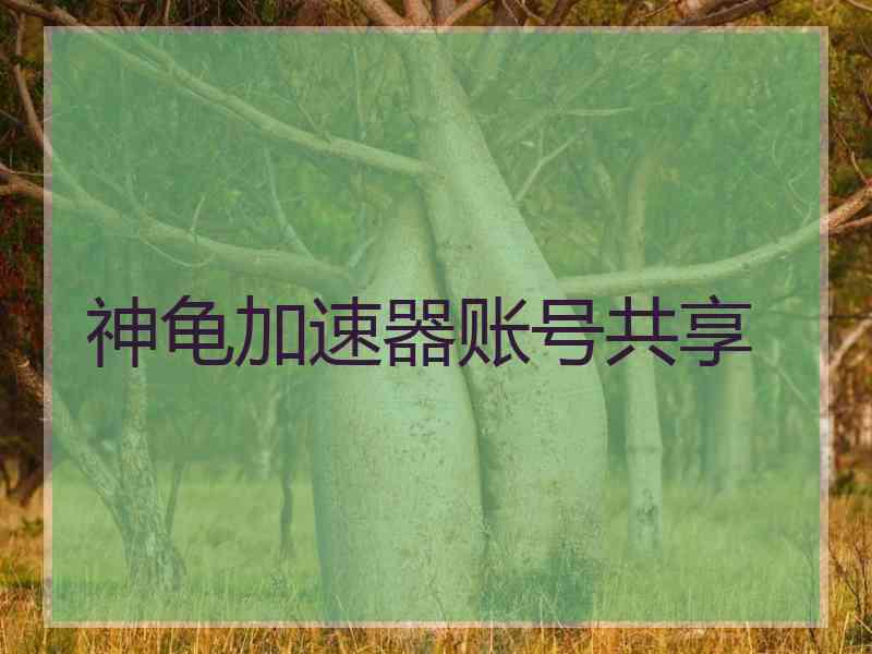神龟加速器账号共享