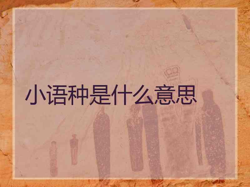 小语种是什么意思