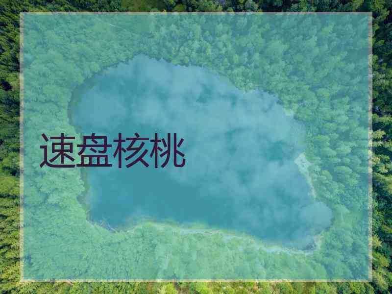 速盘核桃