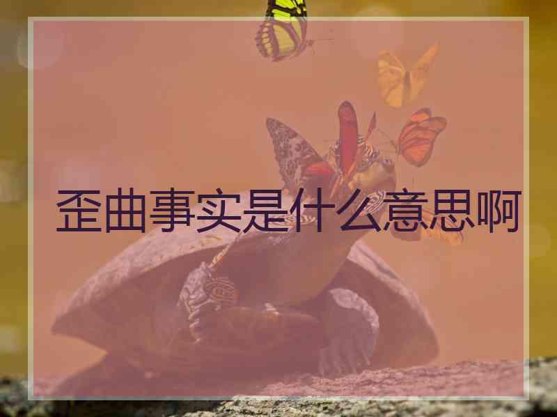 歪曲事实是什么意思啊