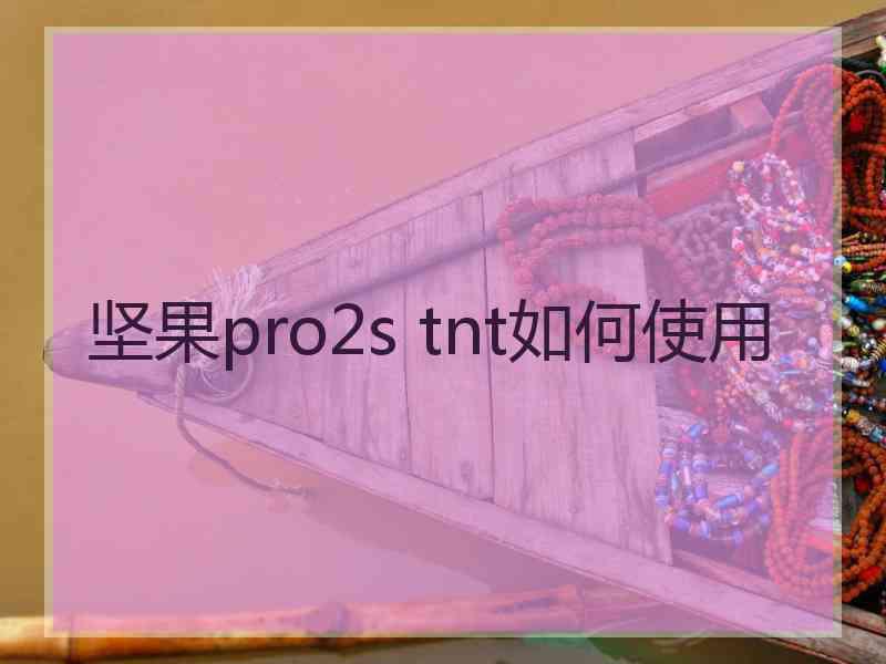 坚果pro2s tnt如何使用