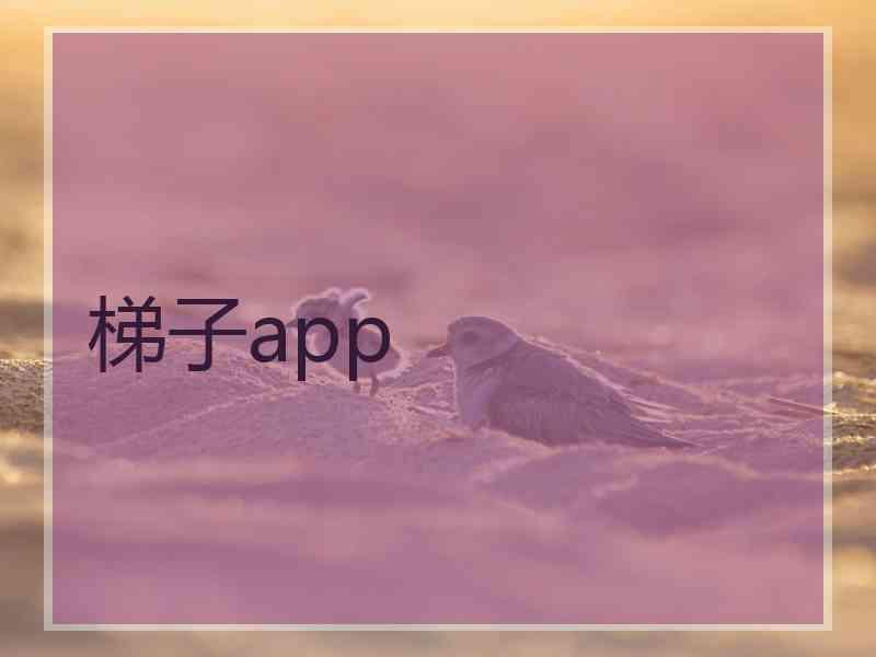 梯子app