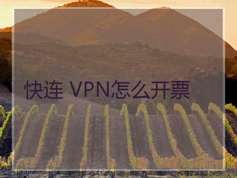 快连 VPN怎么开票