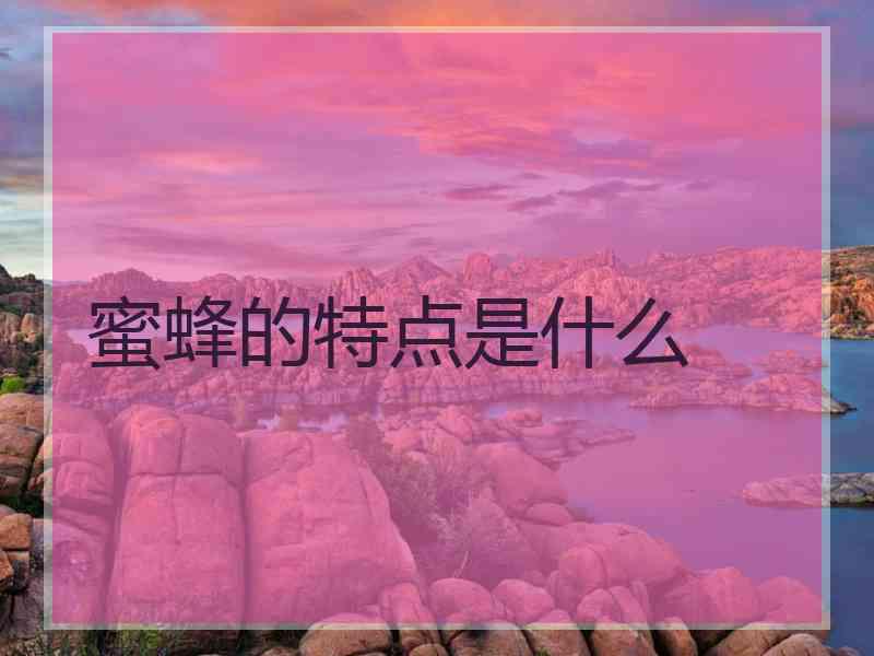 蜜蜂的特点是什么