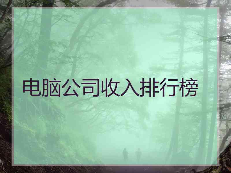 电脑公司收入排行榜