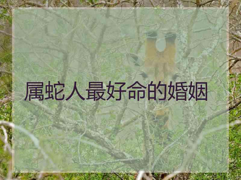 属蛇人最好命的婚姻