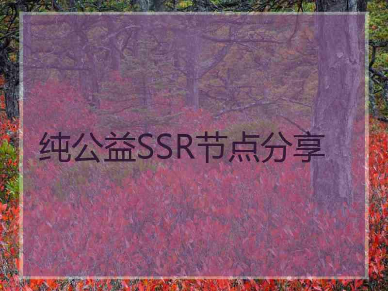 纯公益SSR节点分享