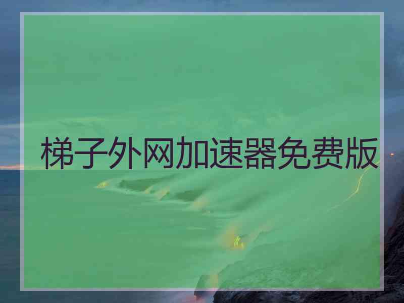 梯子外网加速器免费版