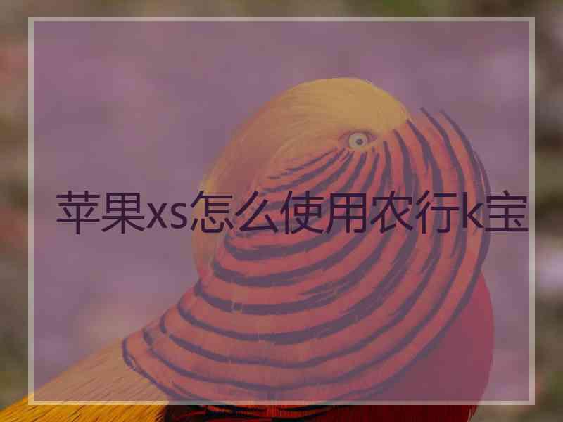苹果xs怎么使用农行k宝