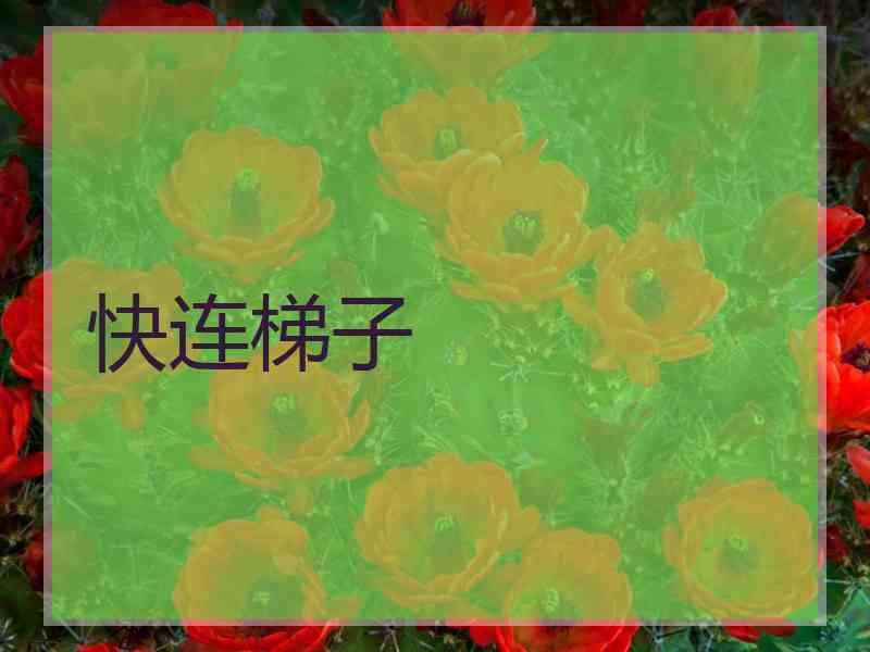 快连梯子