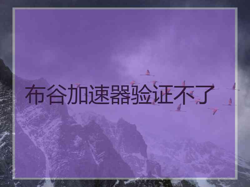 布谷加速器验证不了