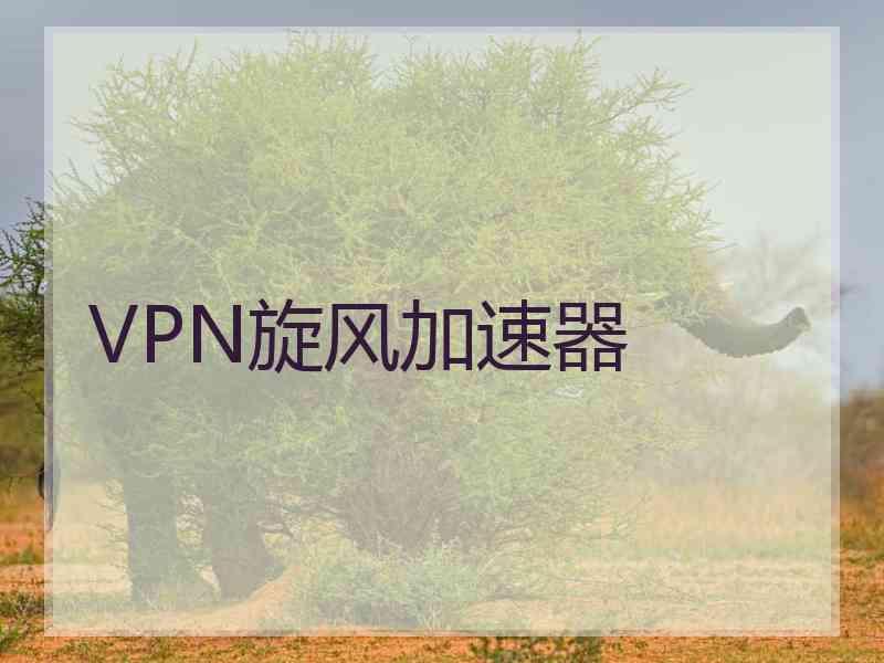 VPN旋风加速器