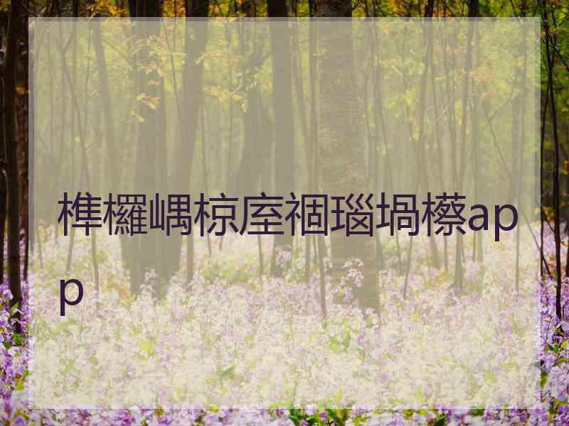 榫欏嵎椋庢祻瑙堝櫒app