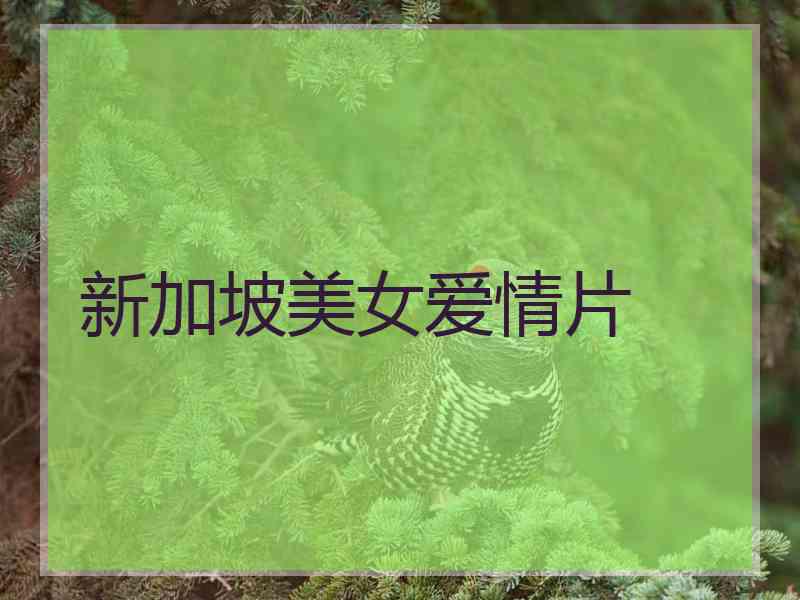 新加坡美女爱情片