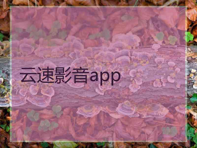 云速影音app