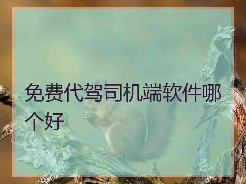 免费代驾司机端软件哪个好