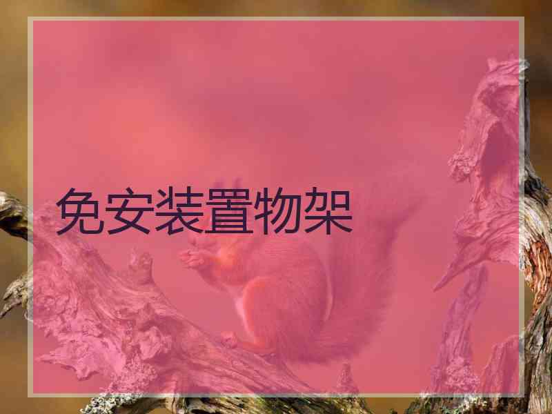 免安装置物架