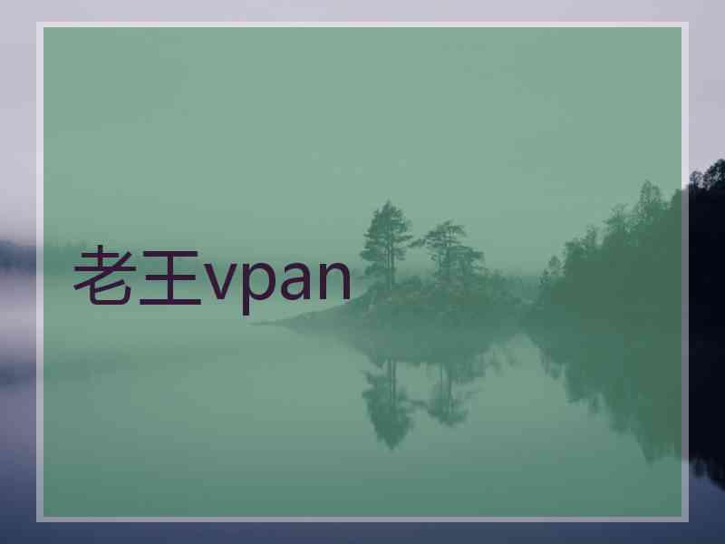老王vpan