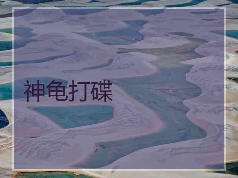 神龟打碟