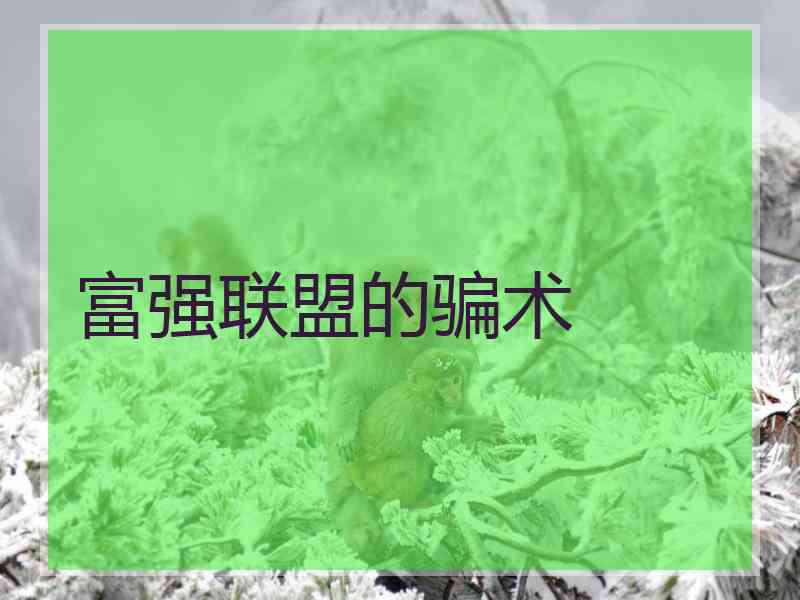 富强联盟的骗术