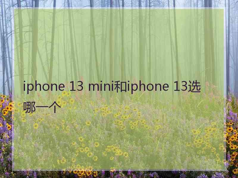 iphone 13 mini和iphone 13选哪一个