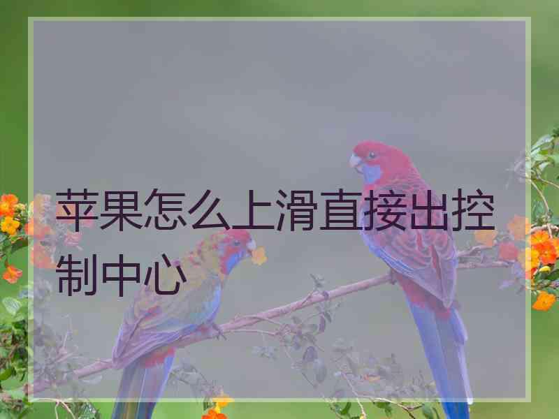 苹果怎么上滑直接出控制中心