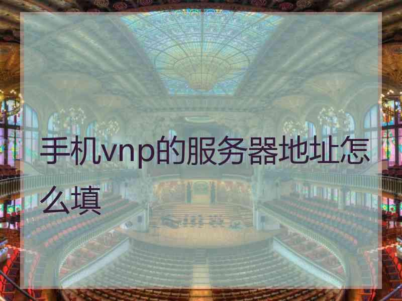 手机vnp的服务器地址怎么填