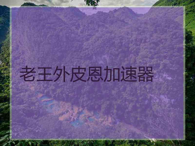 老王外皮恩加速器