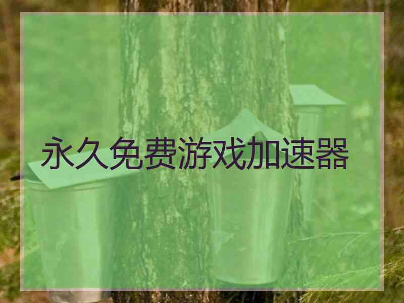 永久免费游戏加速器