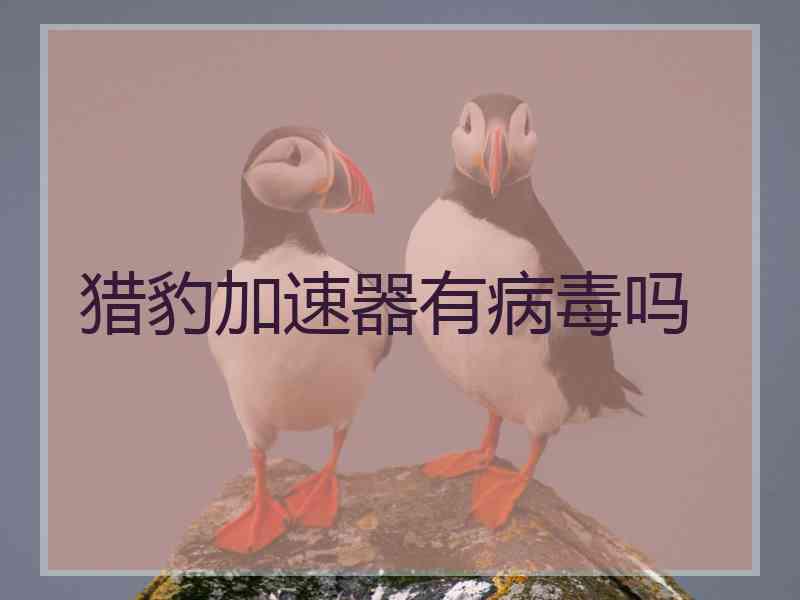 猎豹加速器有病毒吗