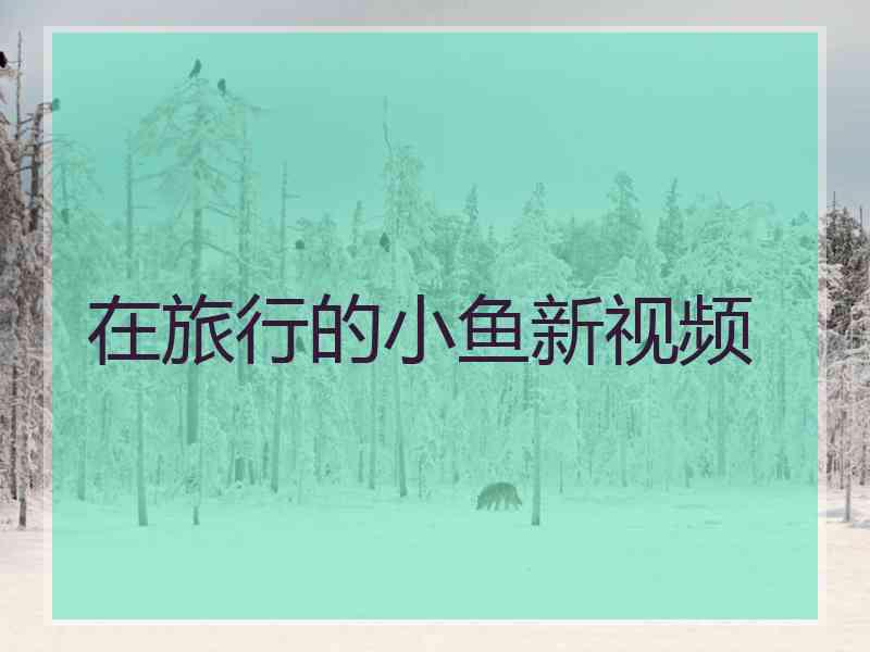 在旅行的小鱼新视频