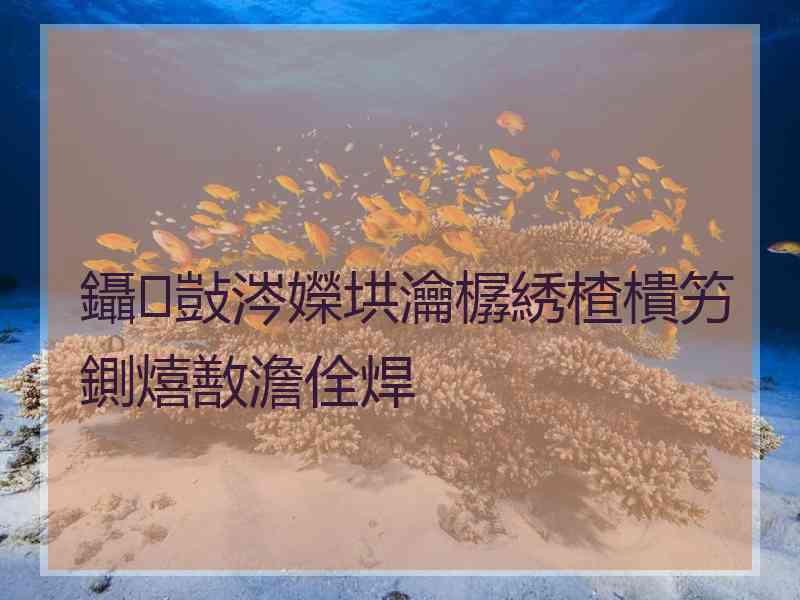 鑷敱涔嬫垬瀹樼綉楂樻竻鍘熺敾澹佺焊