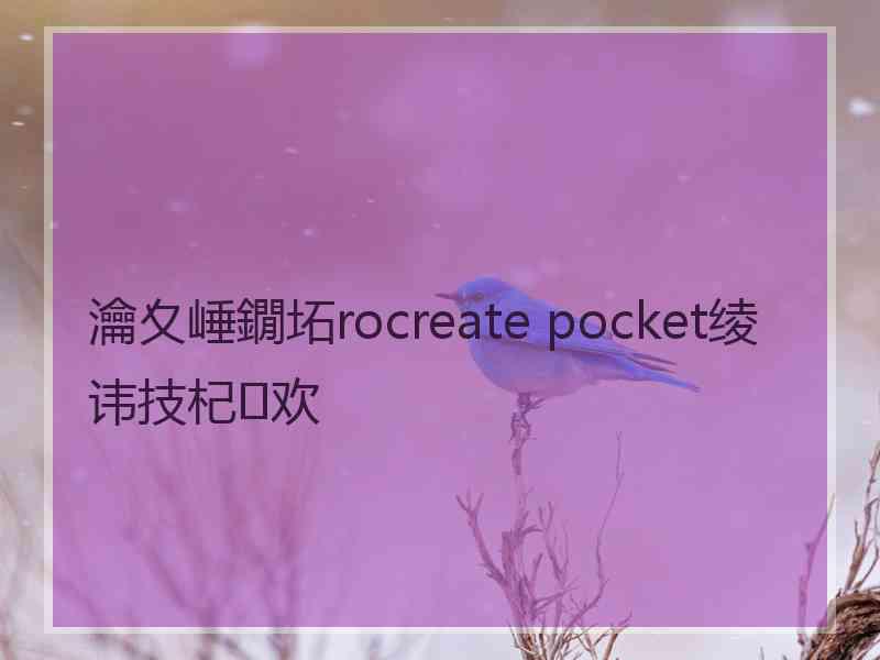瀹夊崜鐗坧rocreate pocket绫讳技杞欢