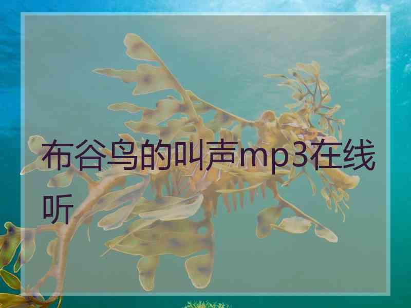布谷鸟的叫声mp3在线听