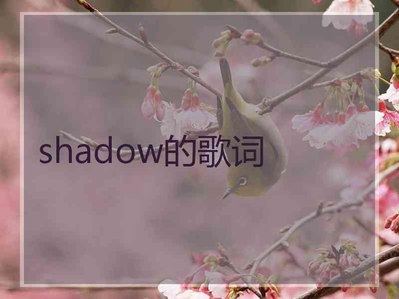shadow的歌词
