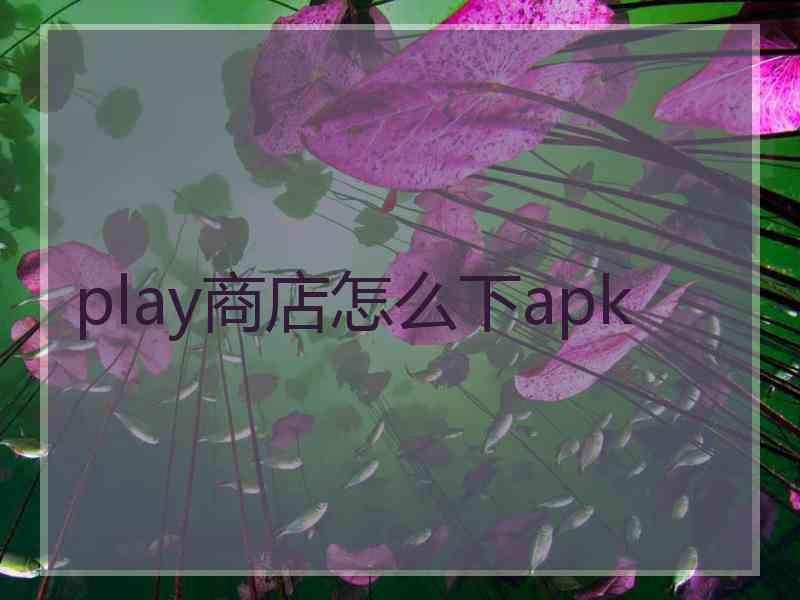 play商店怎么下apk