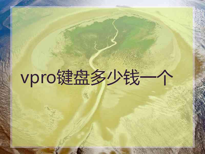 vpro键盘多少钱一个