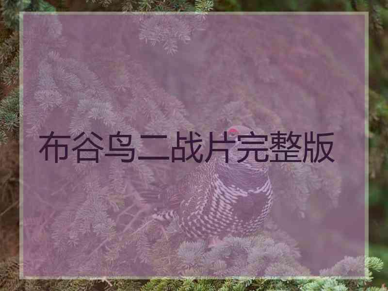 布谷鸟二战片完整版