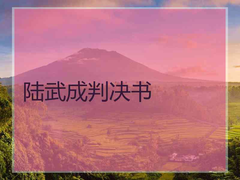 陆武成判决书