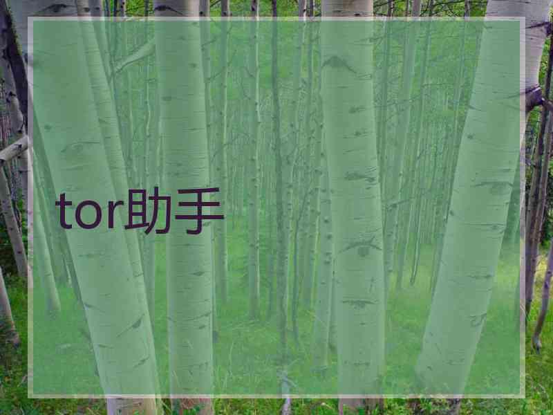 tor助手