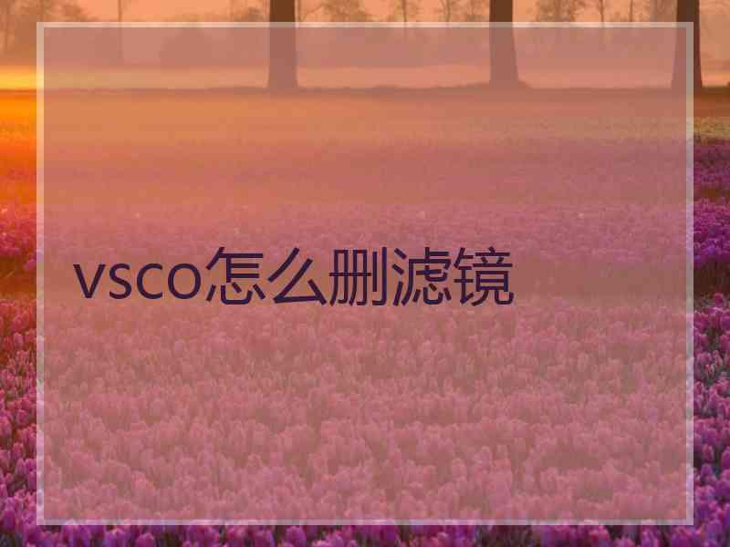 vsco怎么删滤镜