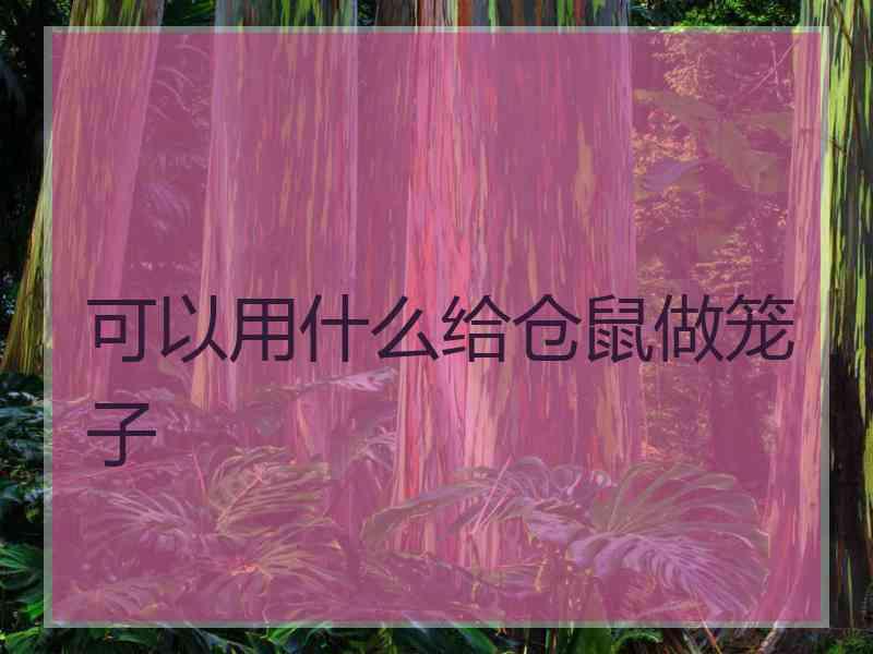 可以用什么给仓鼠做笼子