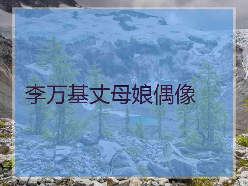 李万基丈母娘偶像