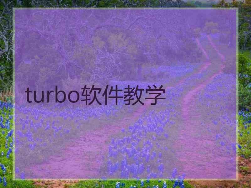 turbo软件教学