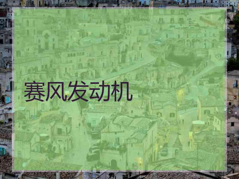 赛风发动机