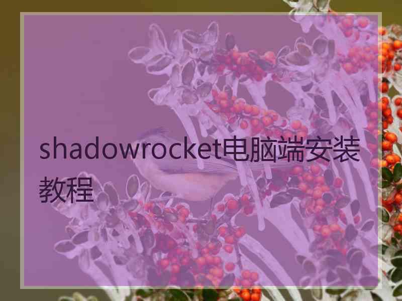 shadowrocket电脑端安装教程