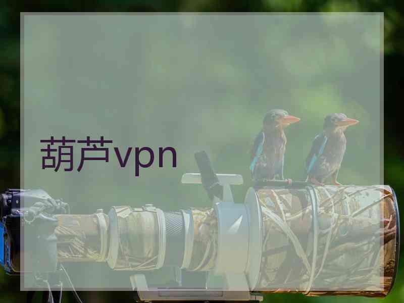 葫芦vpn