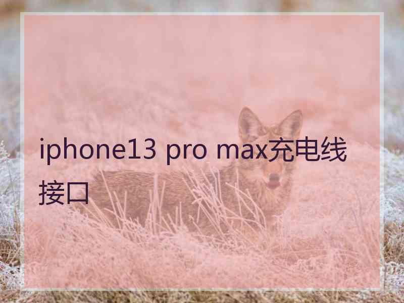 iphone13 pro max充电线接口