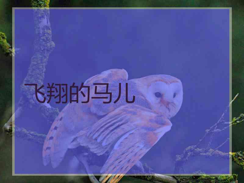 飞翔的马儿